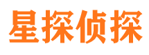 龙门侦探公司